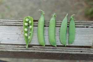 ¿Son buenos con las cetonas de los guisantes?